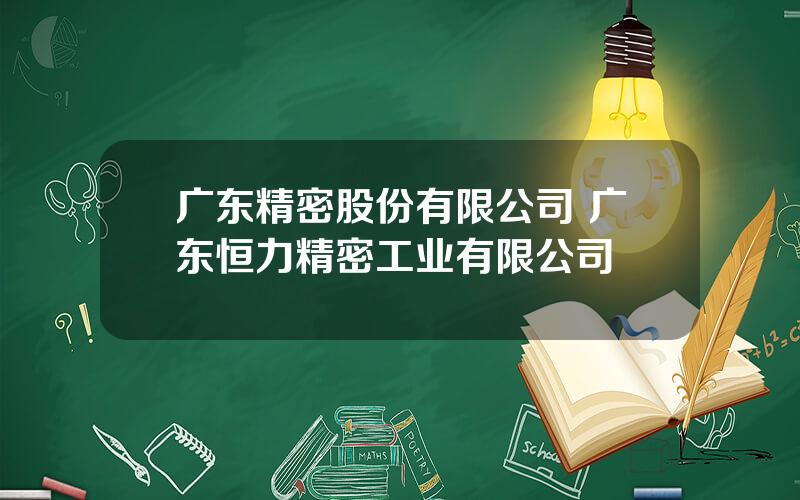 广东精密股份有限公司 广东恒力精密工业有限公司